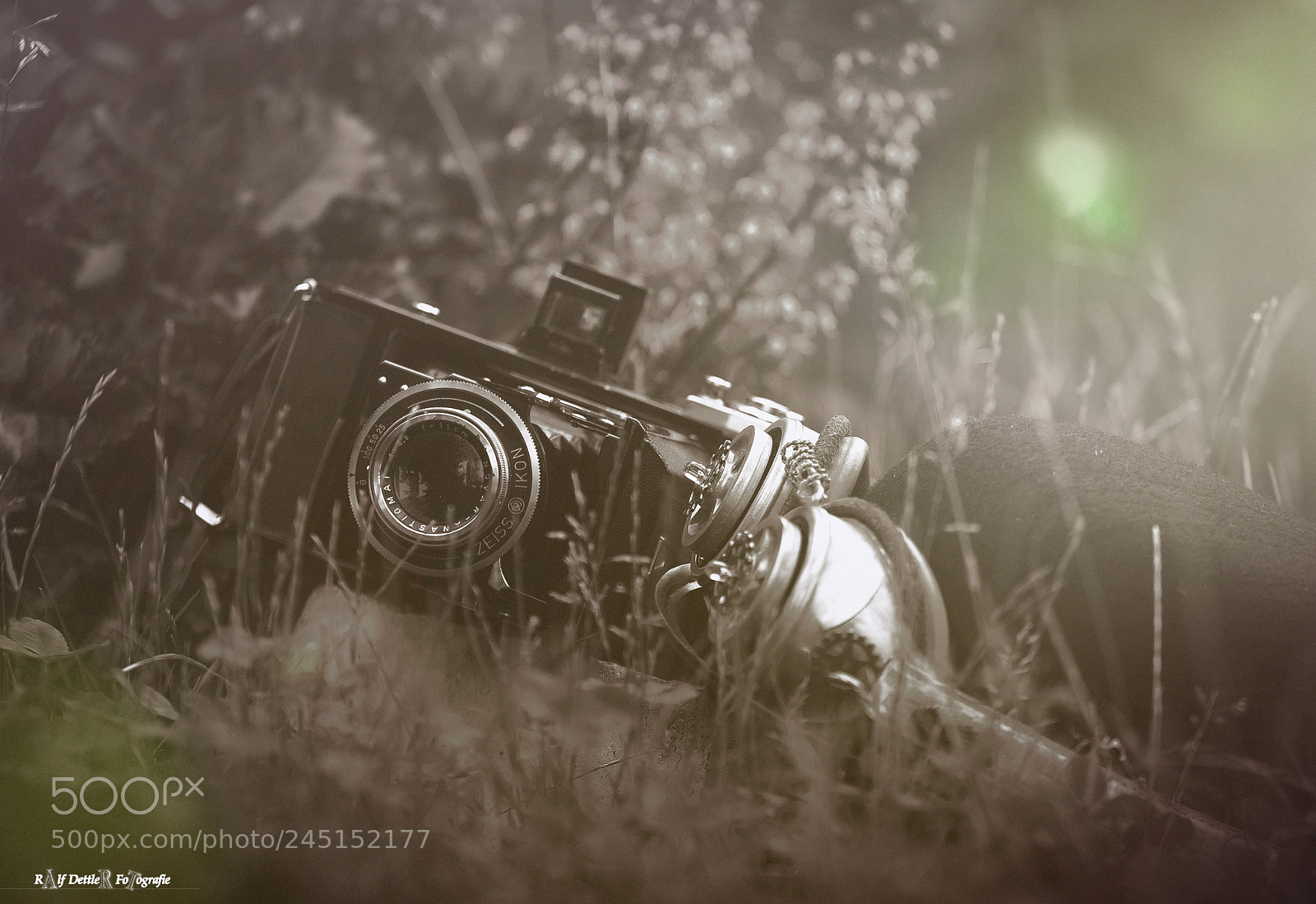 Sony a7 II sample photo. Fotoapparat sw photography