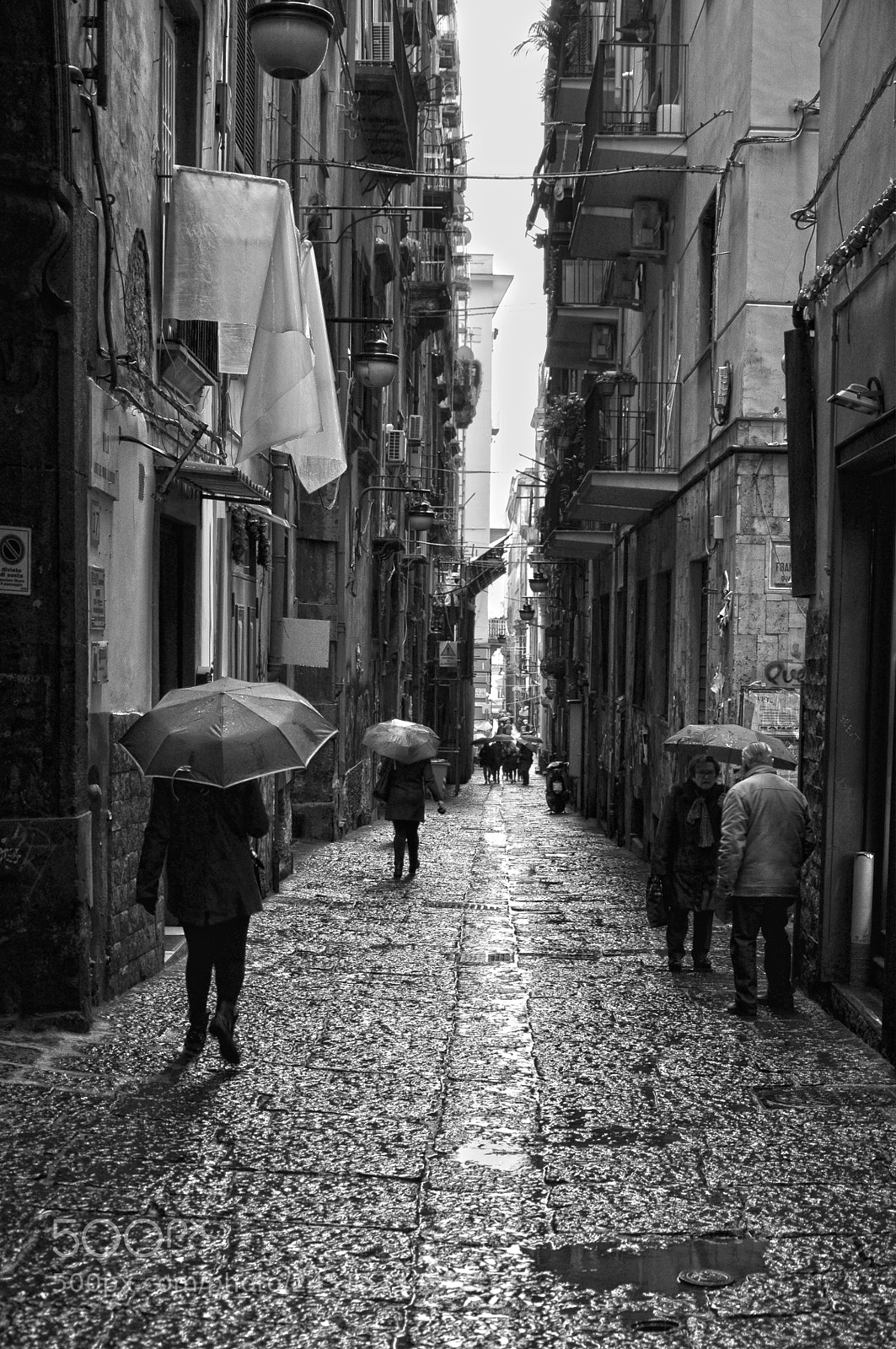 Nikon D5000 sample photo. Rainy day #2 photography