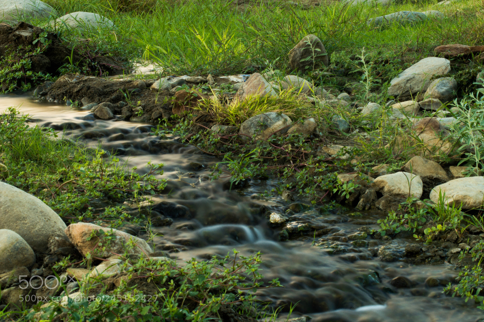 Nikon D3200 sample photo. Untitled photography