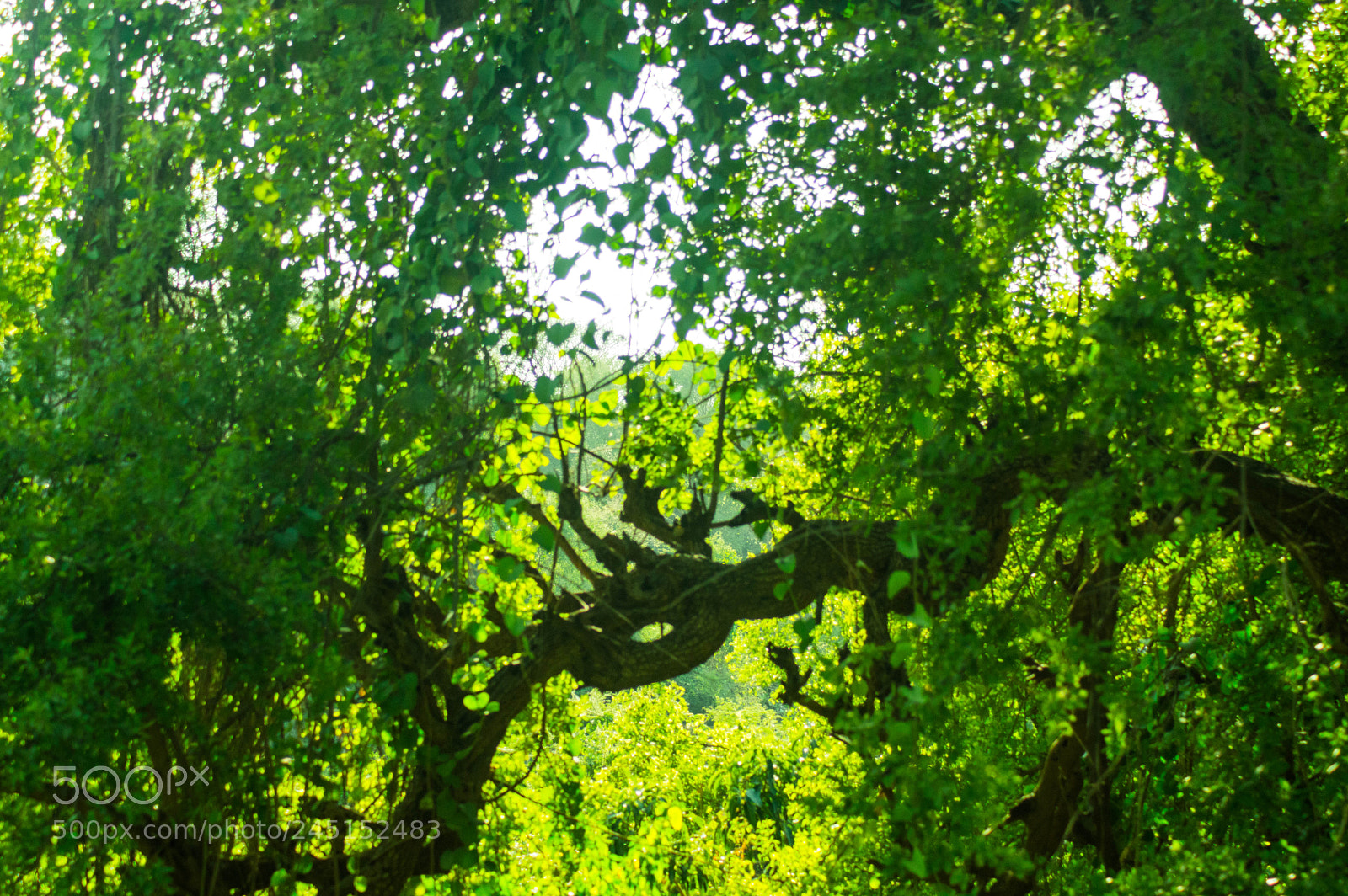 Nikon D3200 sample photo. Untitled photography