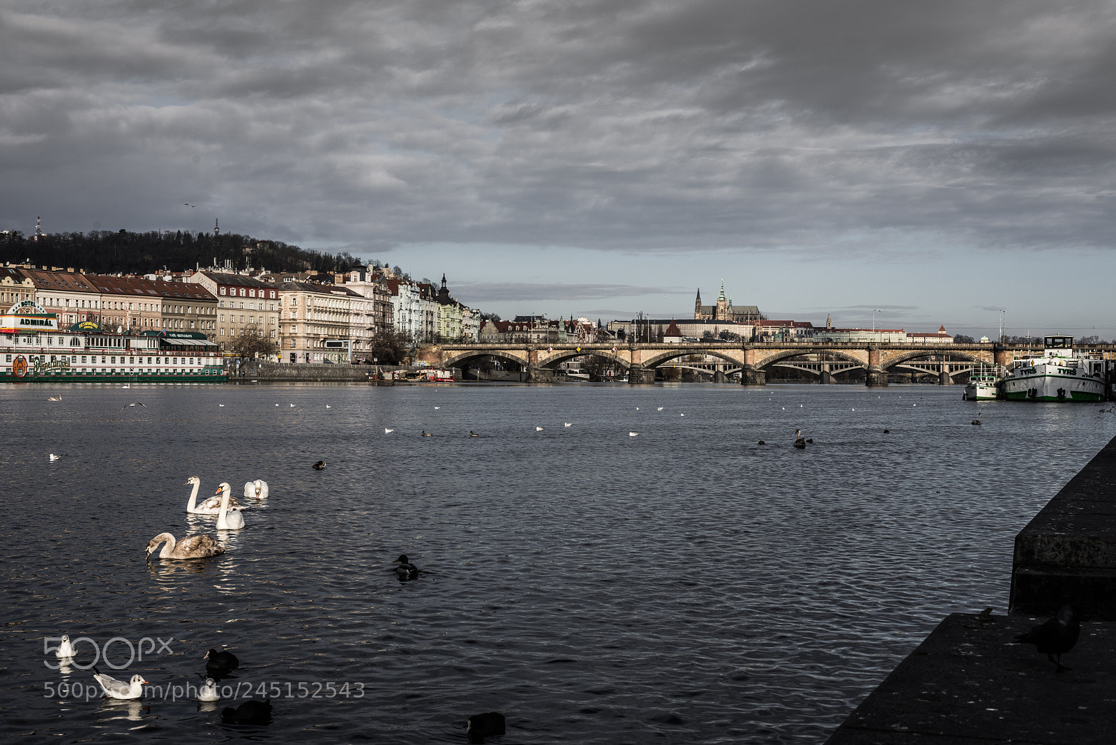 Nikon D610 sample photo. Praha photography