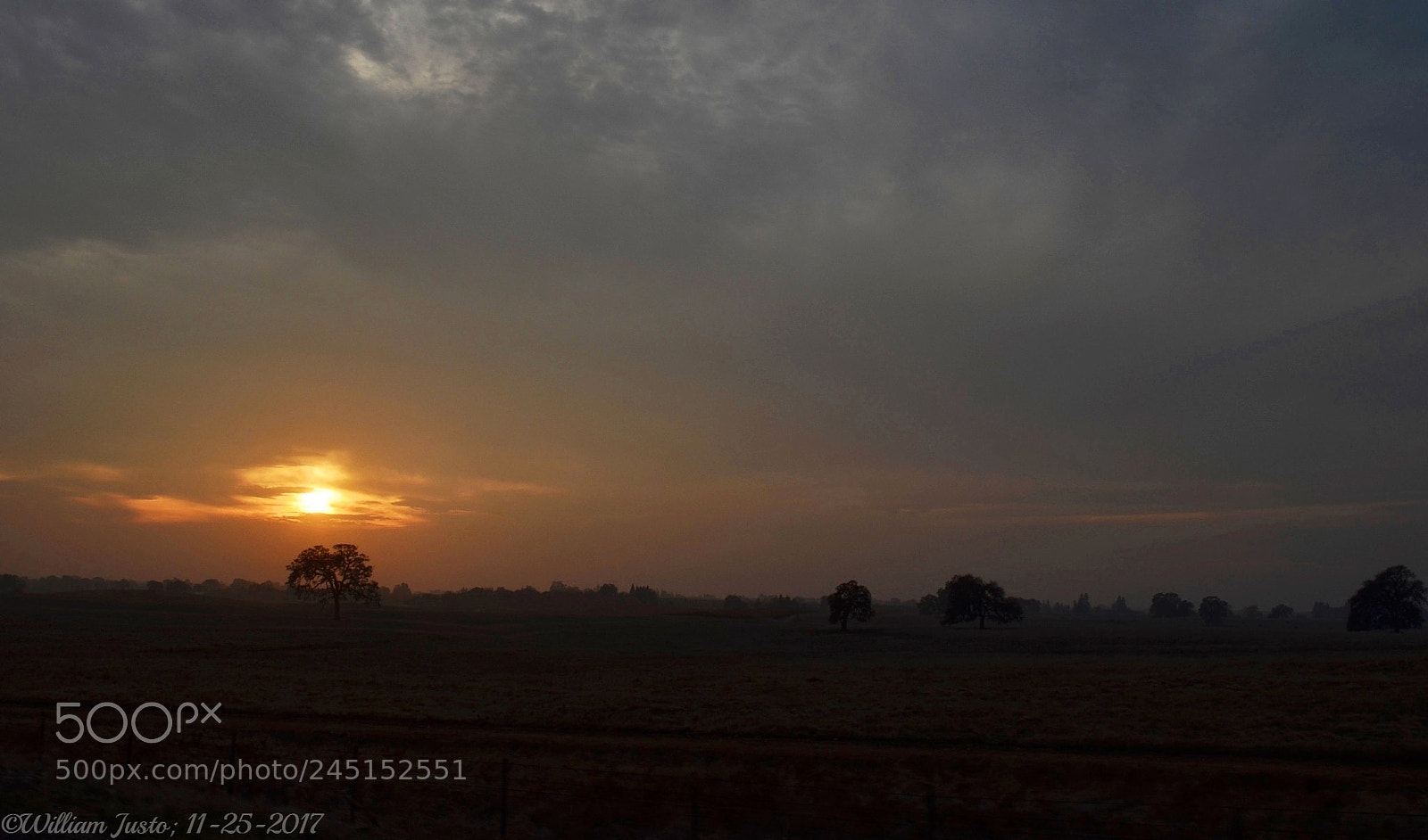 Nikon D5100 sample photo. A beautiful countryside sunset photography