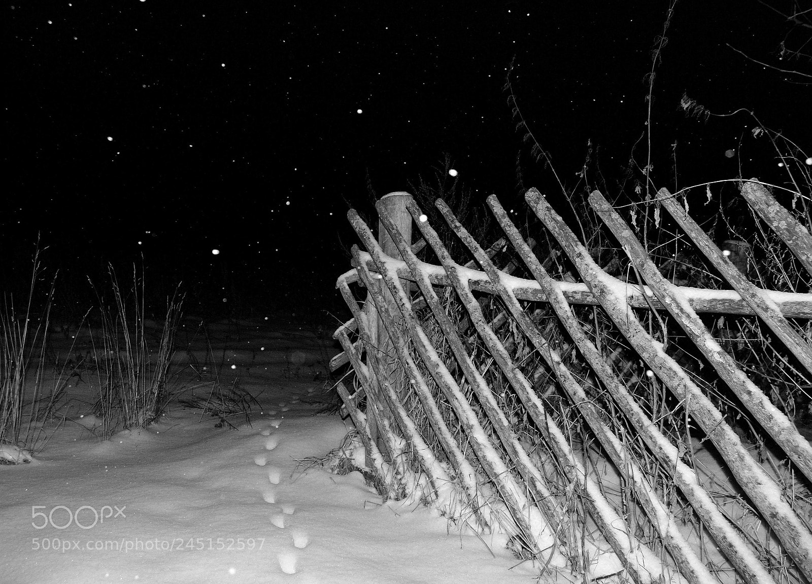 Pentax K20D sample photo. Night photography