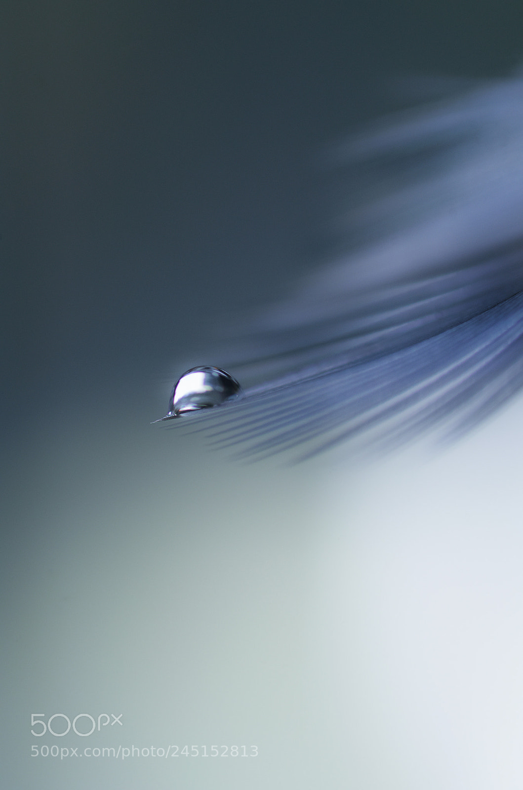 Pentax K-30 sample photo. ° photography