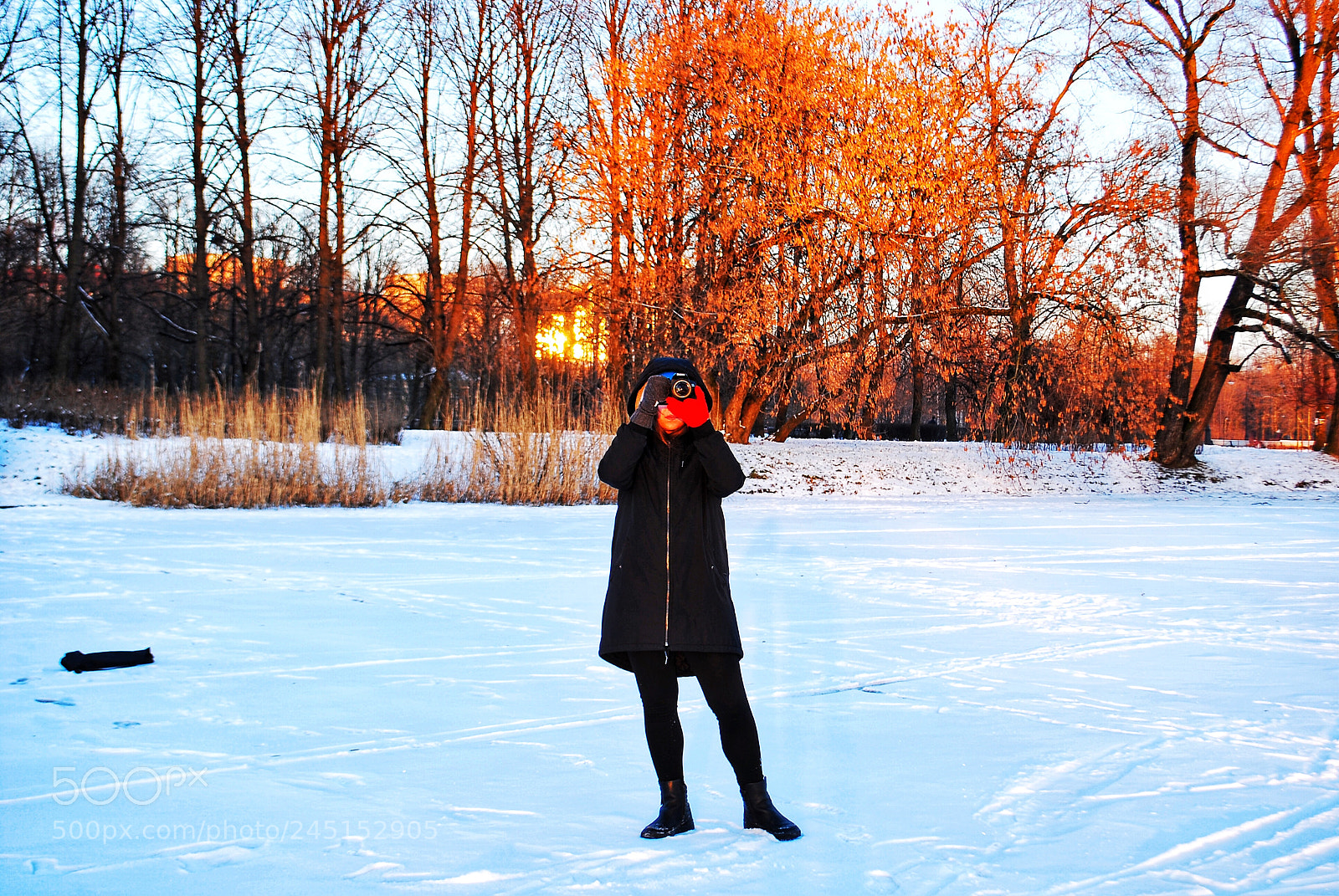 Nikon D60 sample photo. Cool photo with beautiful photography