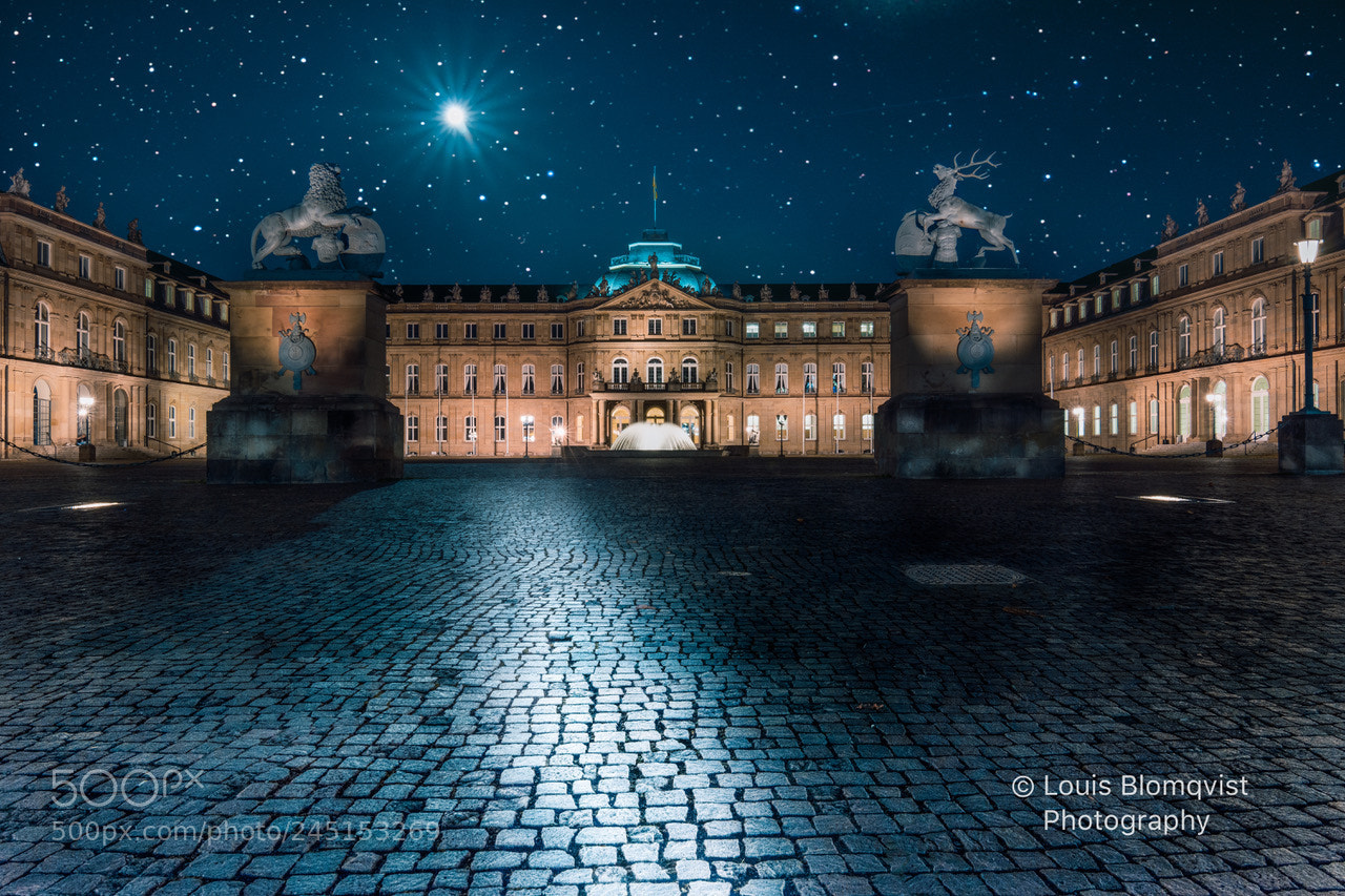 Nikon D5200 sample photo. Neue schloß 0711 photography