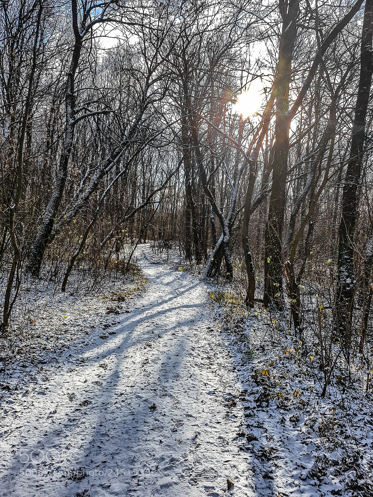 Samsung Galaxy S7 Edge sample photo. Through the snow tunnel photography
