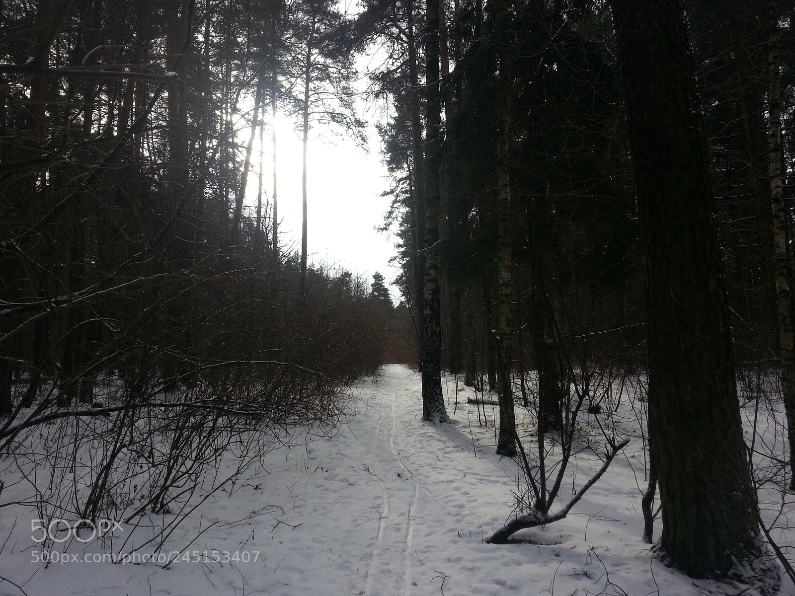 Samsung Galaxy Note2 sample photo. Snow)) photography