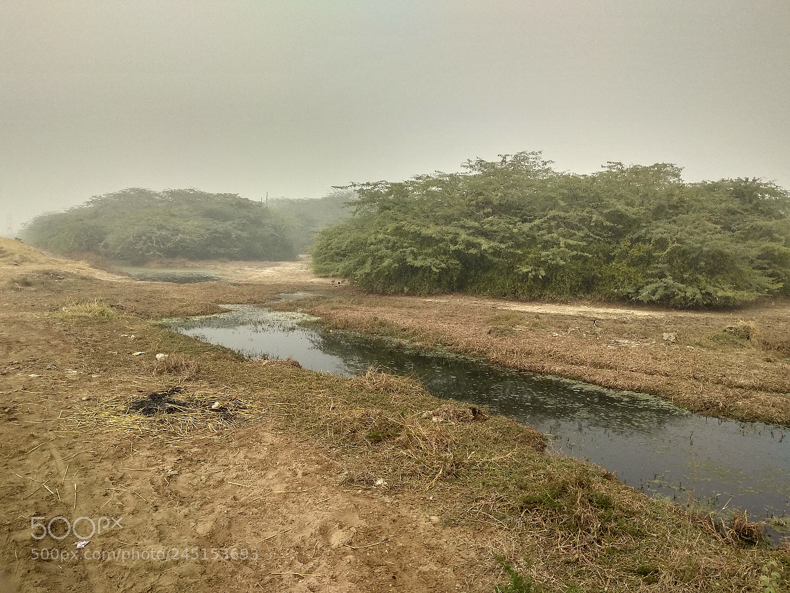 Xiaomi Redmi Note 4 sample photo. Untitled photography