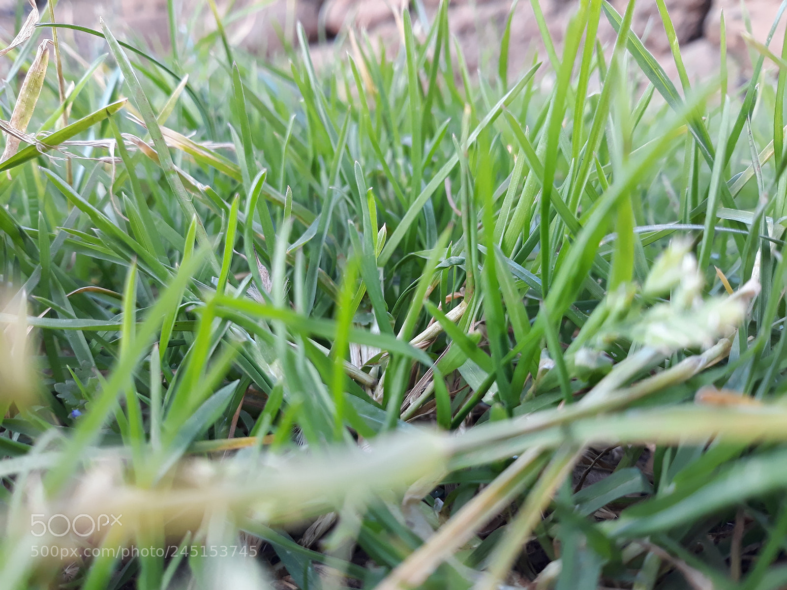 Samsung Galaxy J7 sample photo. Untitled photography