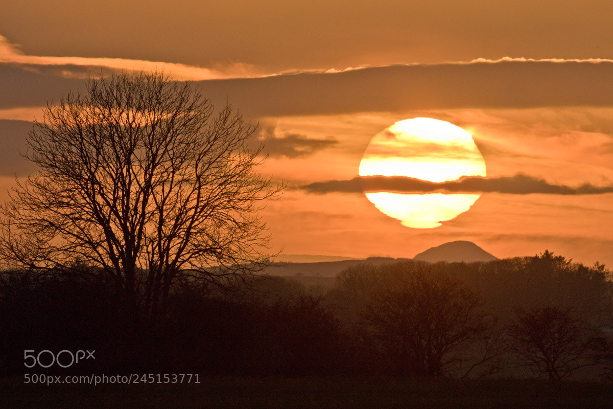 Canon EOS 7D Mark II sample photo. January sunset ireland photography