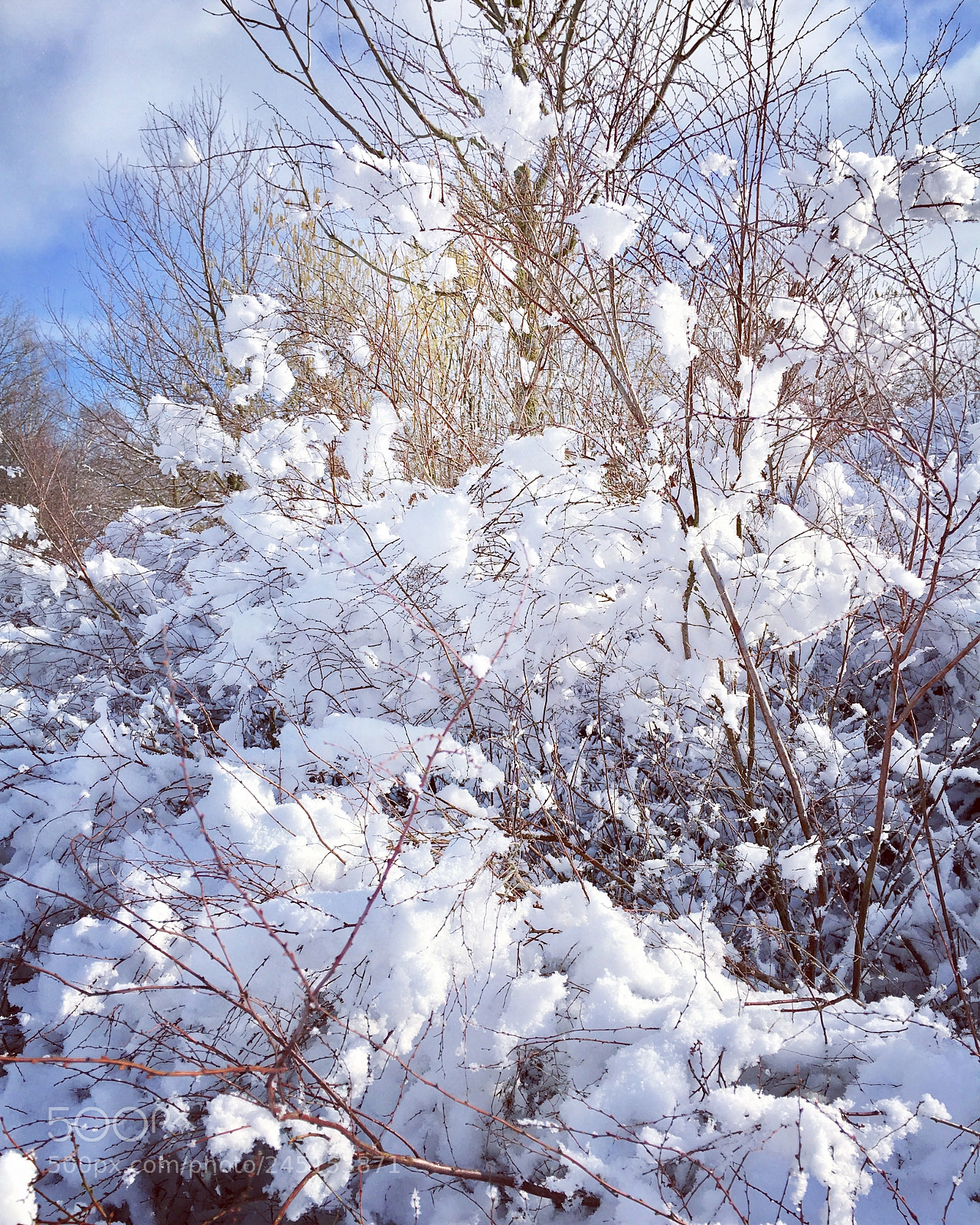 Apple iPhone 6s sample photo. Winter foam photography