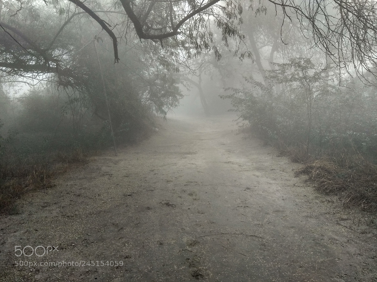 Xiaomi Redmi Note 4 sample photo. Untitled photography