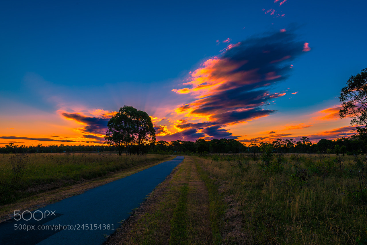 Nikon D810 sample photo. Sunset photography