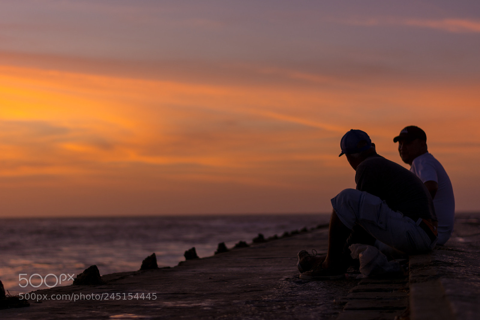 Nikon D5200 sample photo. Friends doing what they photography
