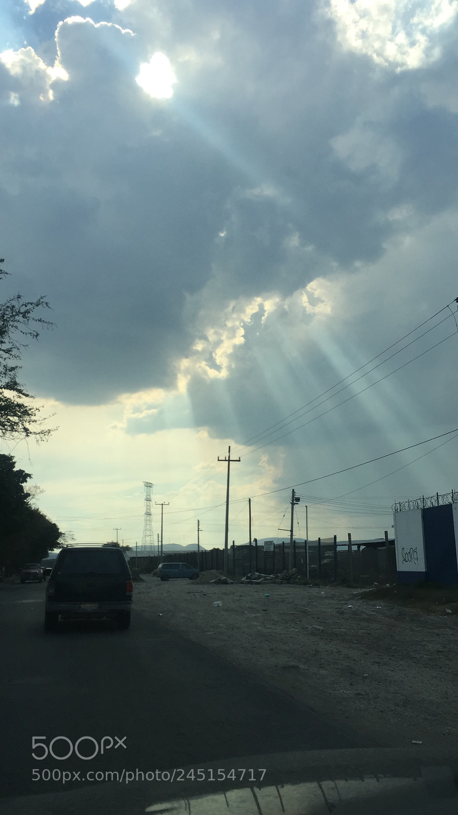 Apple iPhone 6 sample photo. Untitled photography