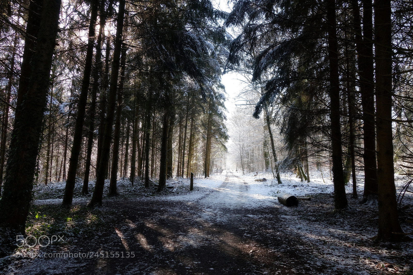 Sony Cyber-shot DSC-RX100 II sample photo. Snow in luxembourg photography