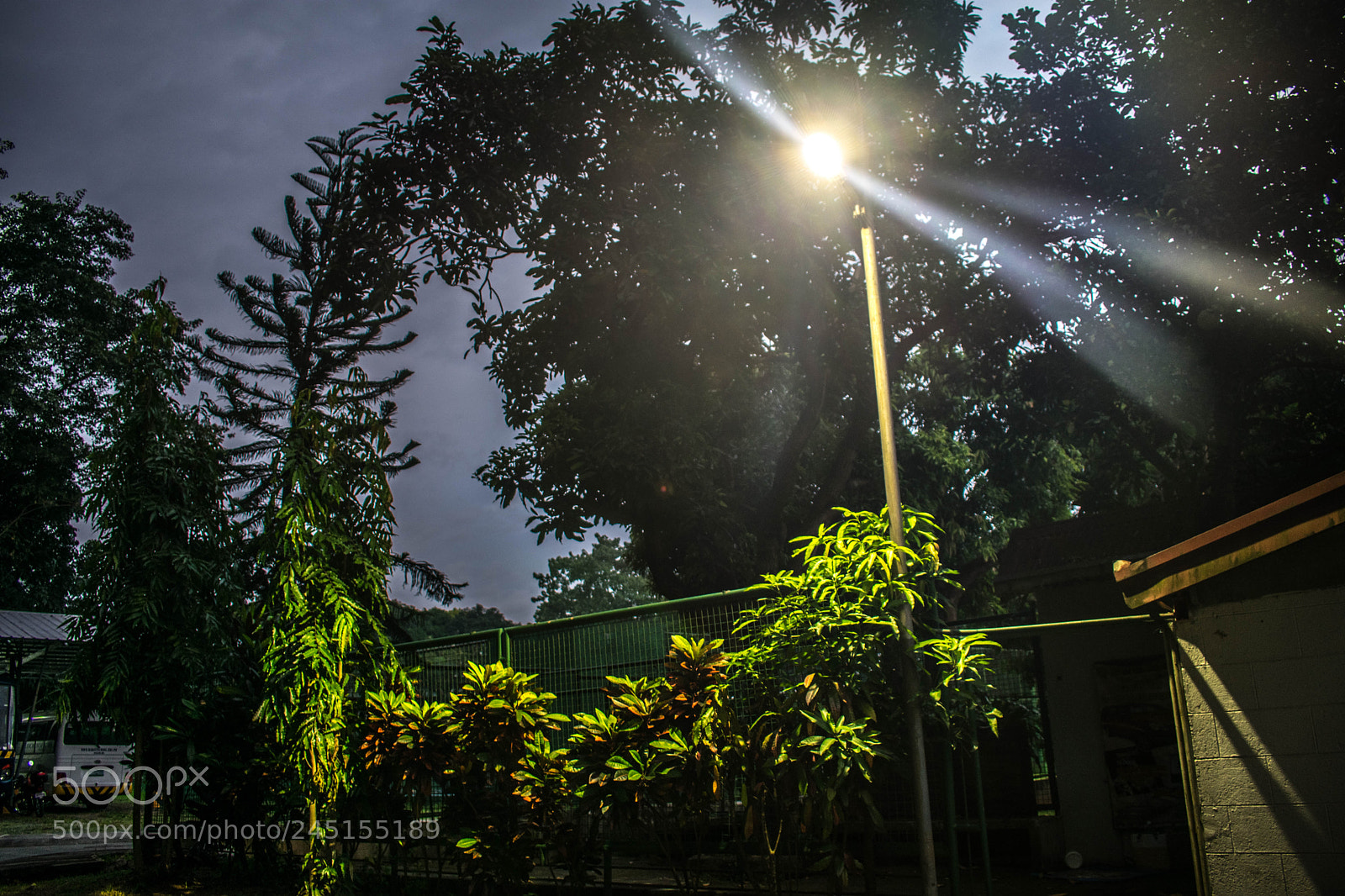 Nikon D3400 sample photo. Spotlight photography