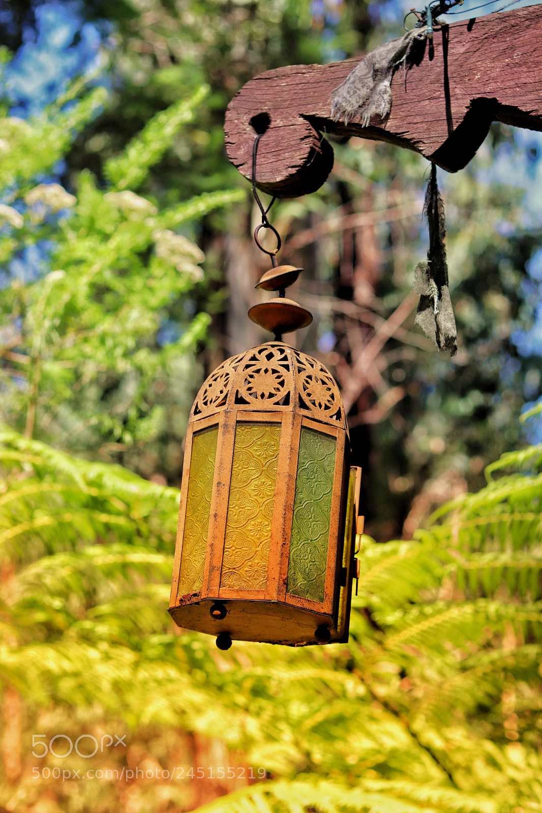 Canon EOS 800D (EOS Rebel T7i / EOS Kiss X9i) sample photo. Hanging lamp photography