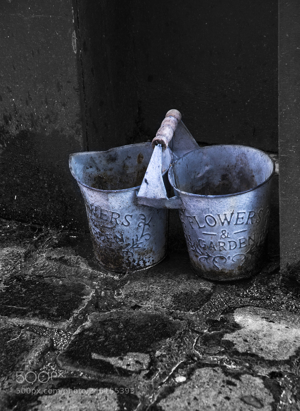 Nikon D7100 sample photo. Waiting for spring photography