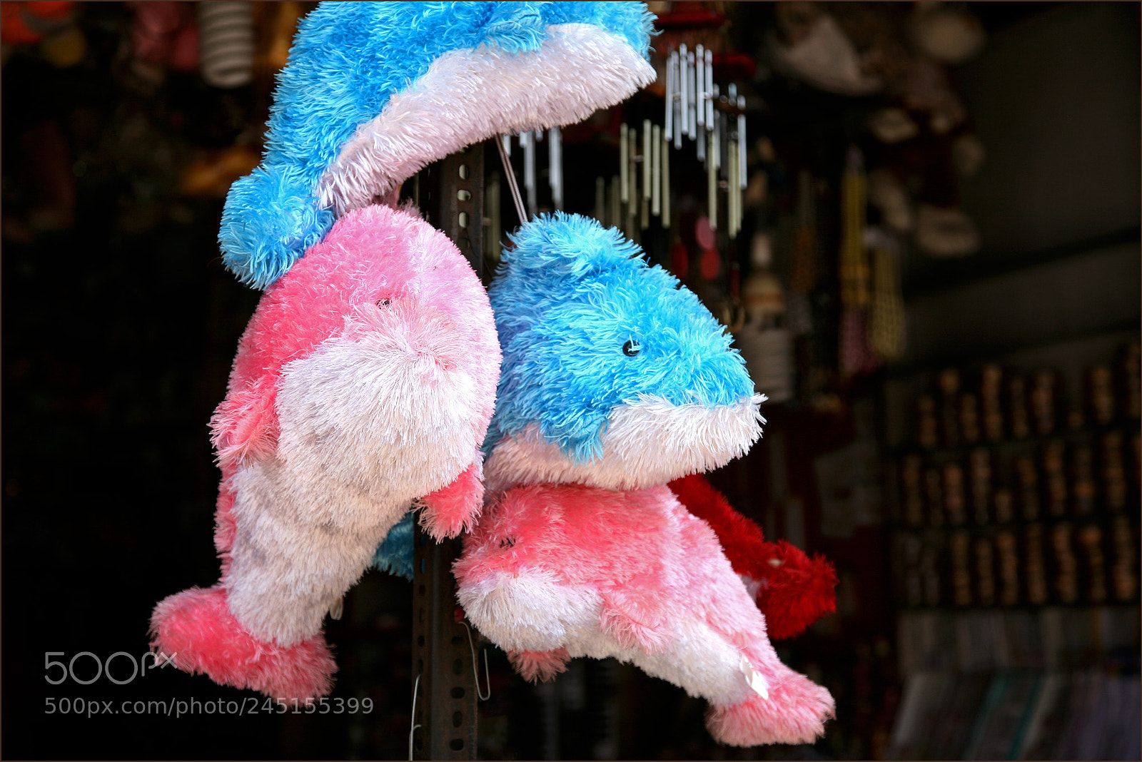 Canon EOS 5D sample photo. Fur animals photography