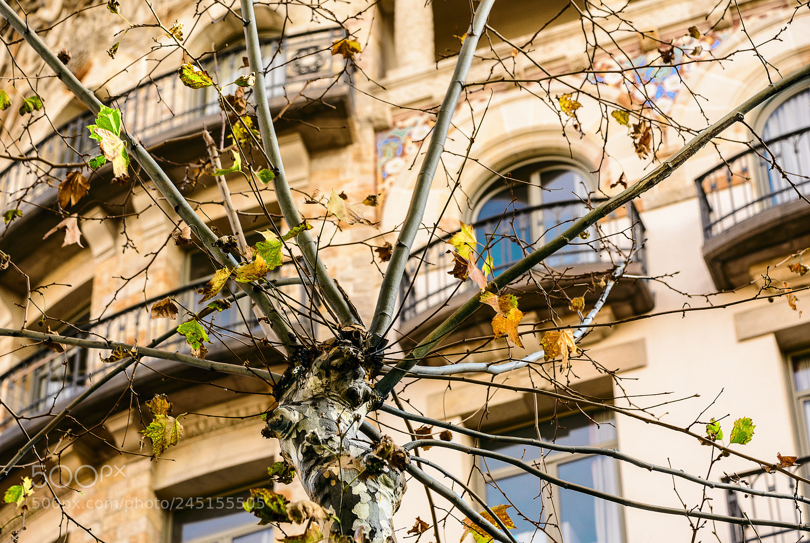 Nikon D7100 sample photo. Urban mosaic i. photography
