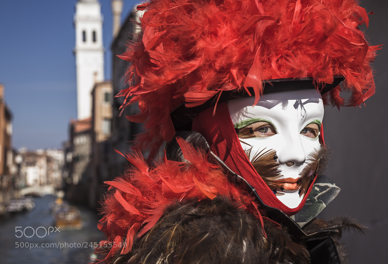 Nikon D700 sample photo. Red plumes carnival mask photography
