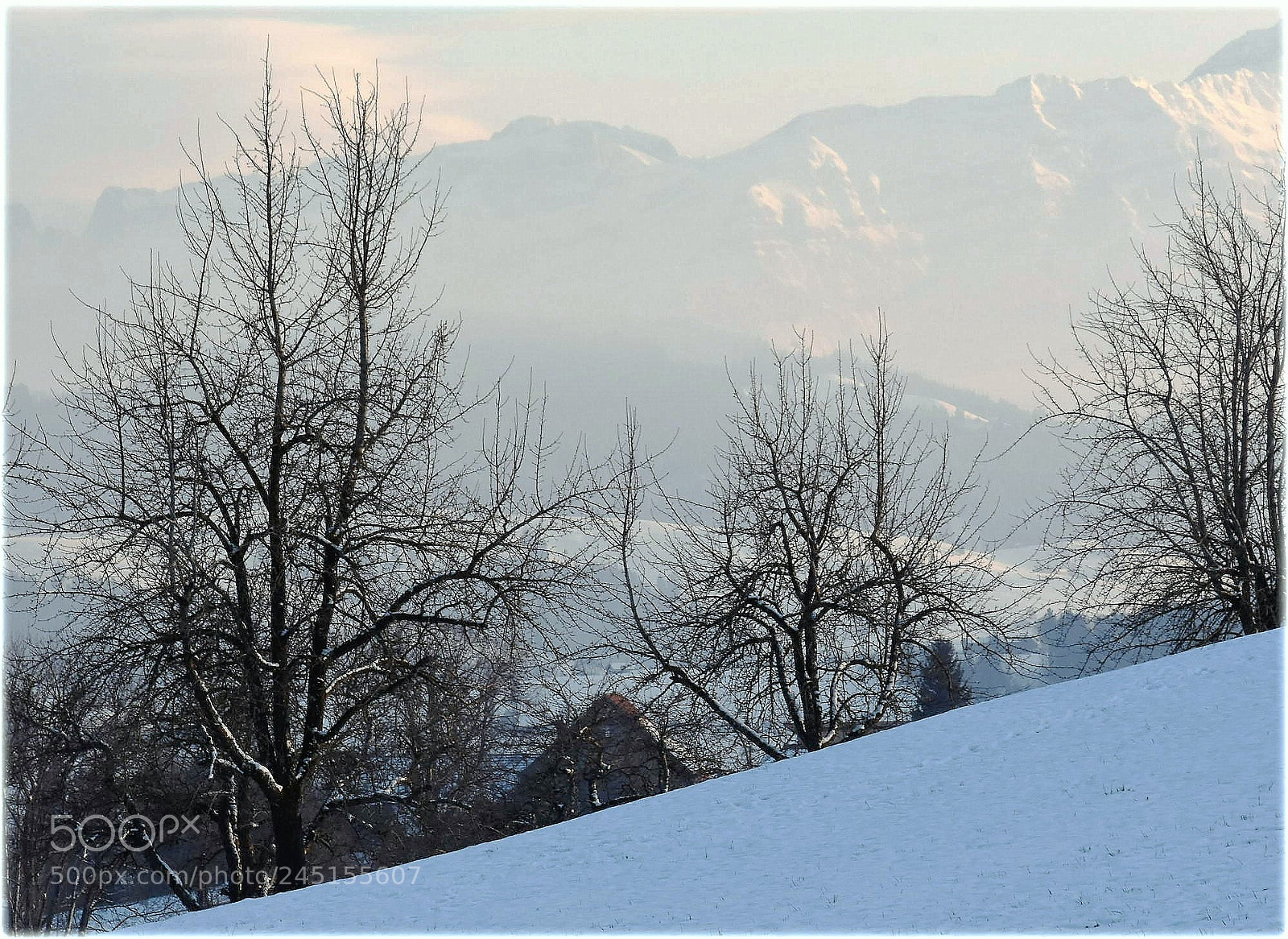 Nikon D7200 sample photo. "februar" photography