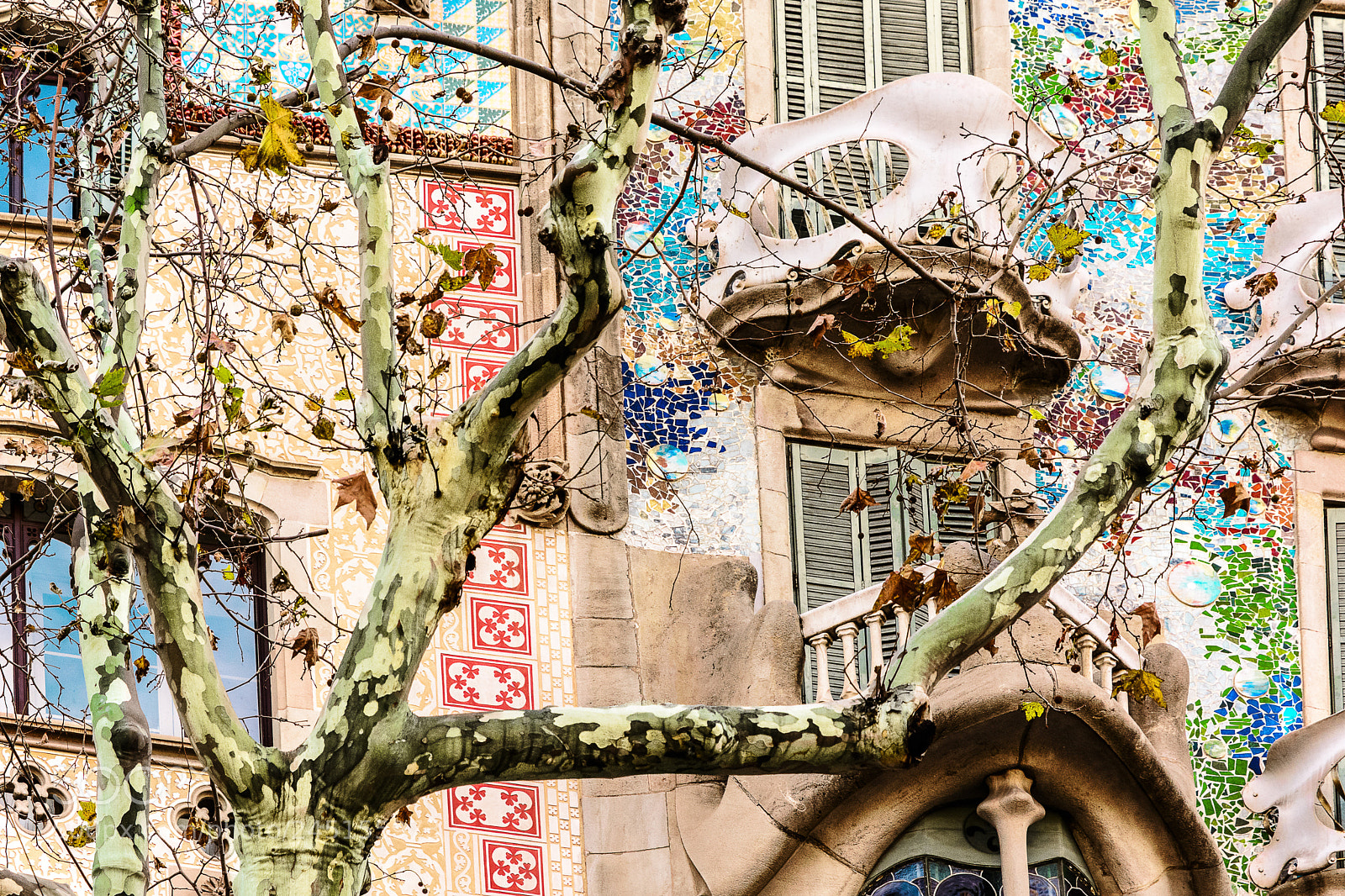 Nikon D7100 sample photo. Urban mosaic ii. photography