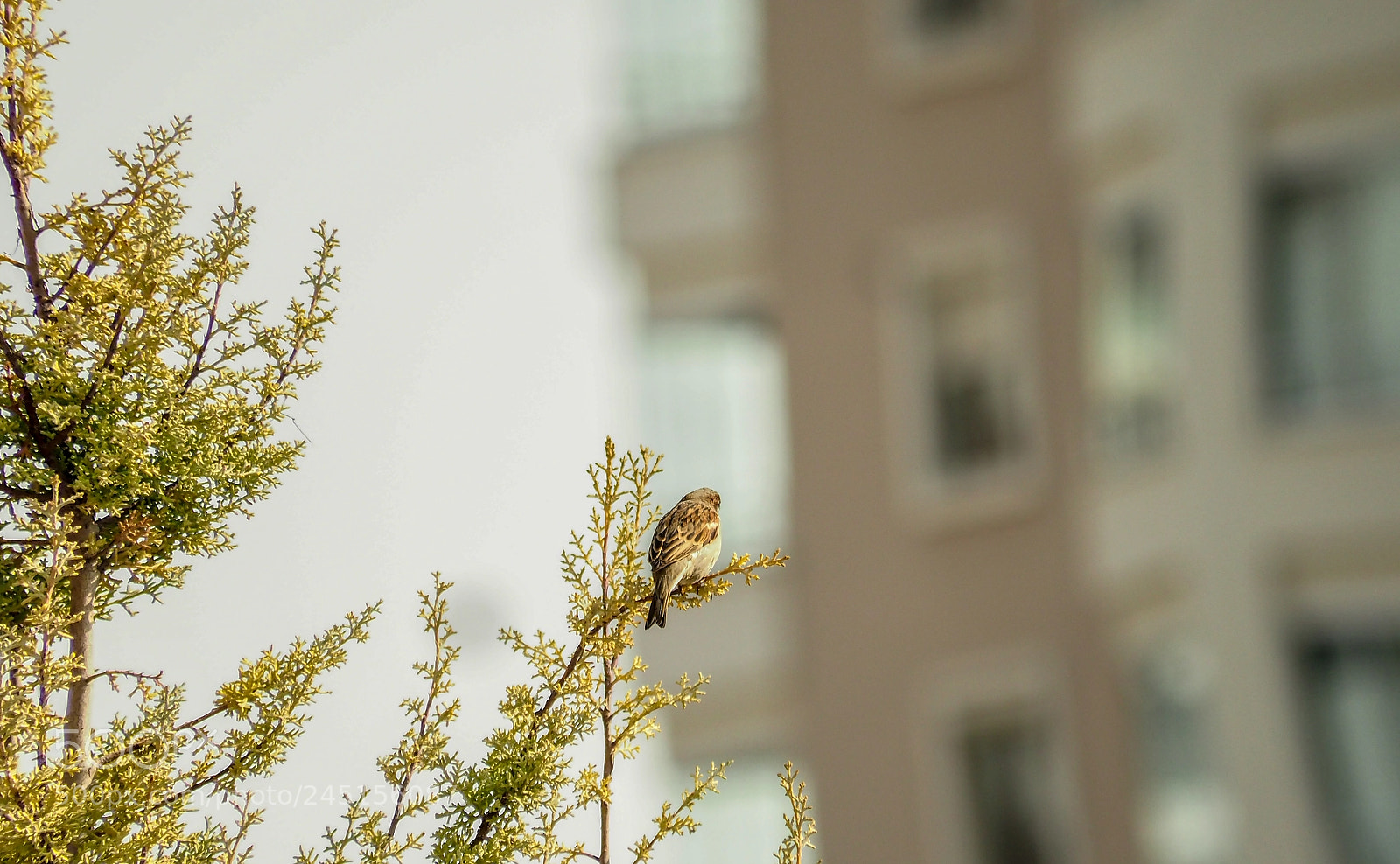 Olympus OM-D E-M1 Mark II sample photo. Olympus digital camera photography