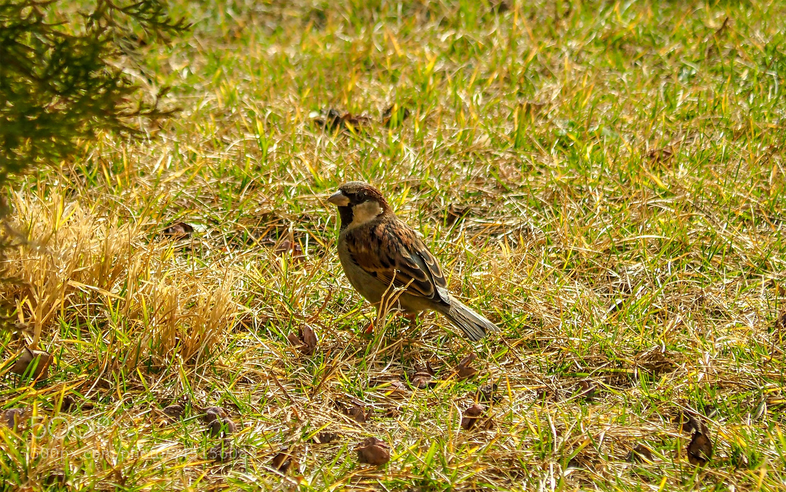 Olympus OM-D E-M1 Mark II sample photo. Olympus digital camera photography
