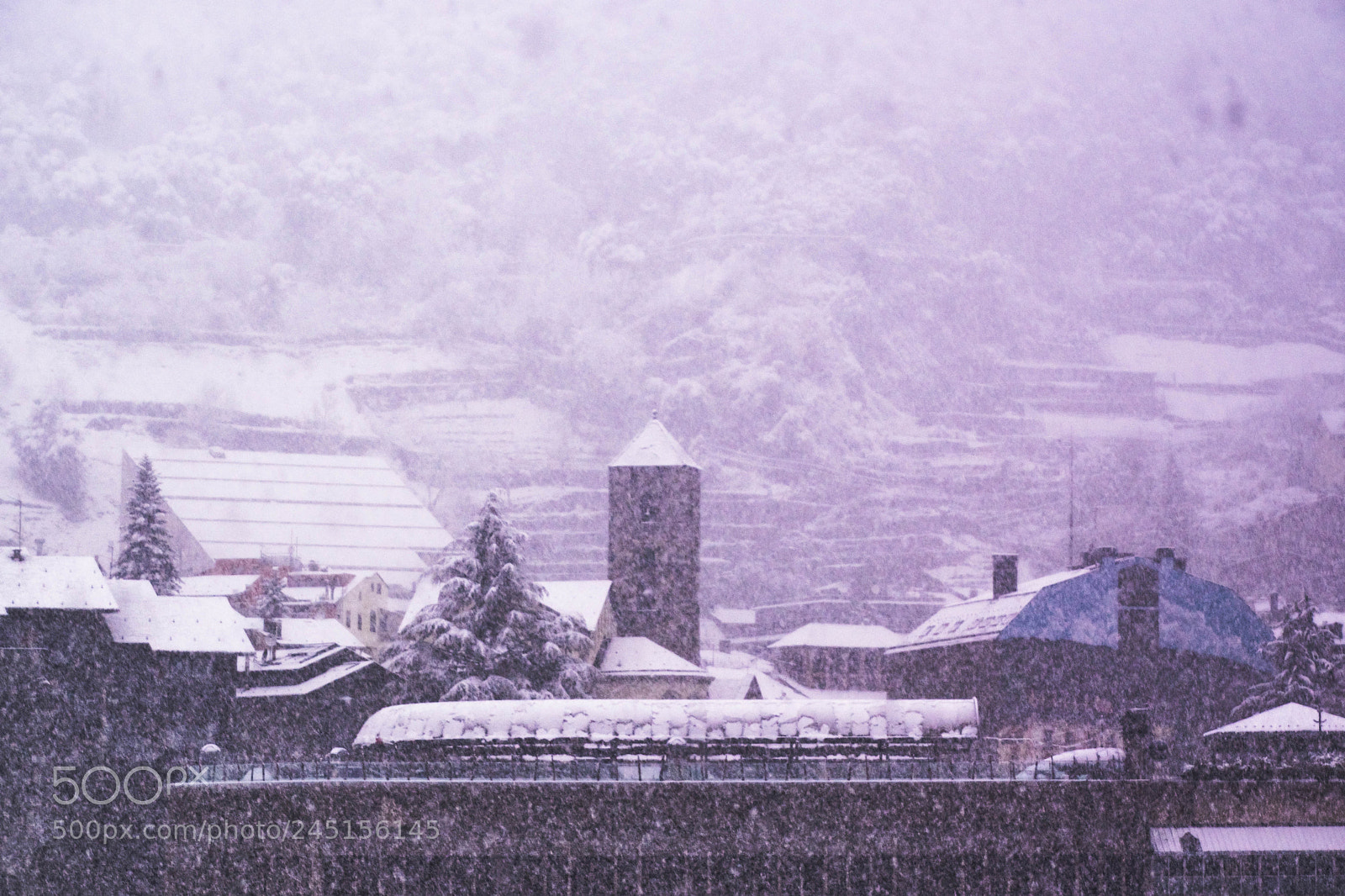 Nikon D5600 sample photo. Nevando photography