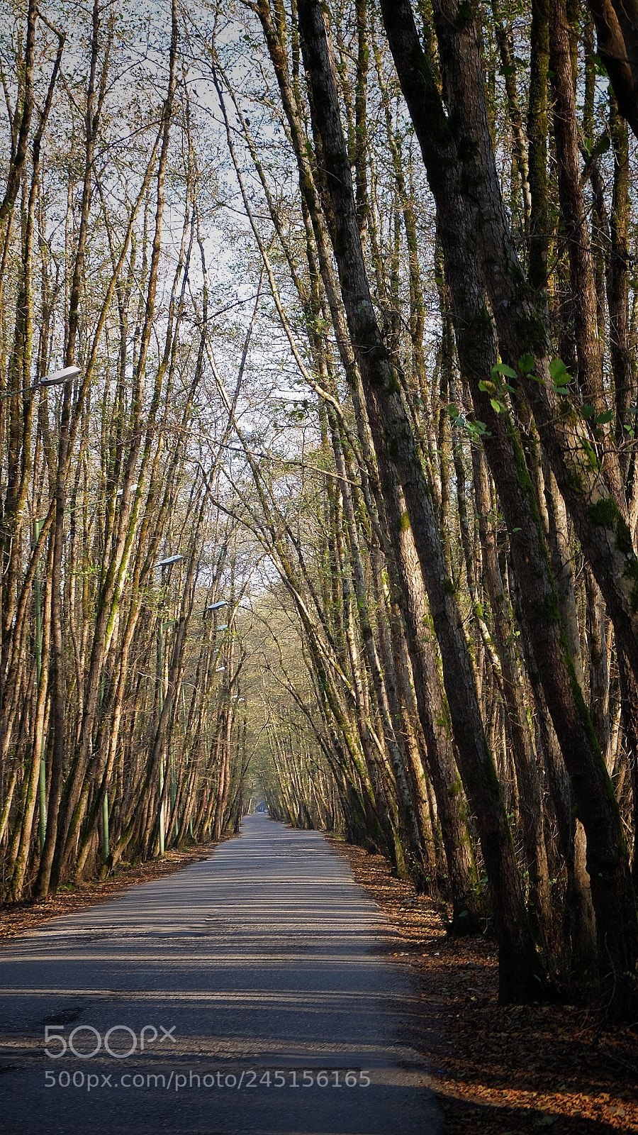 Fujifilm X30 sample photo. Untitled photography