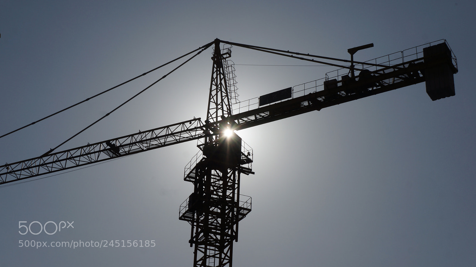 Sony Alpha NEX-5N sample photo. Crane photography