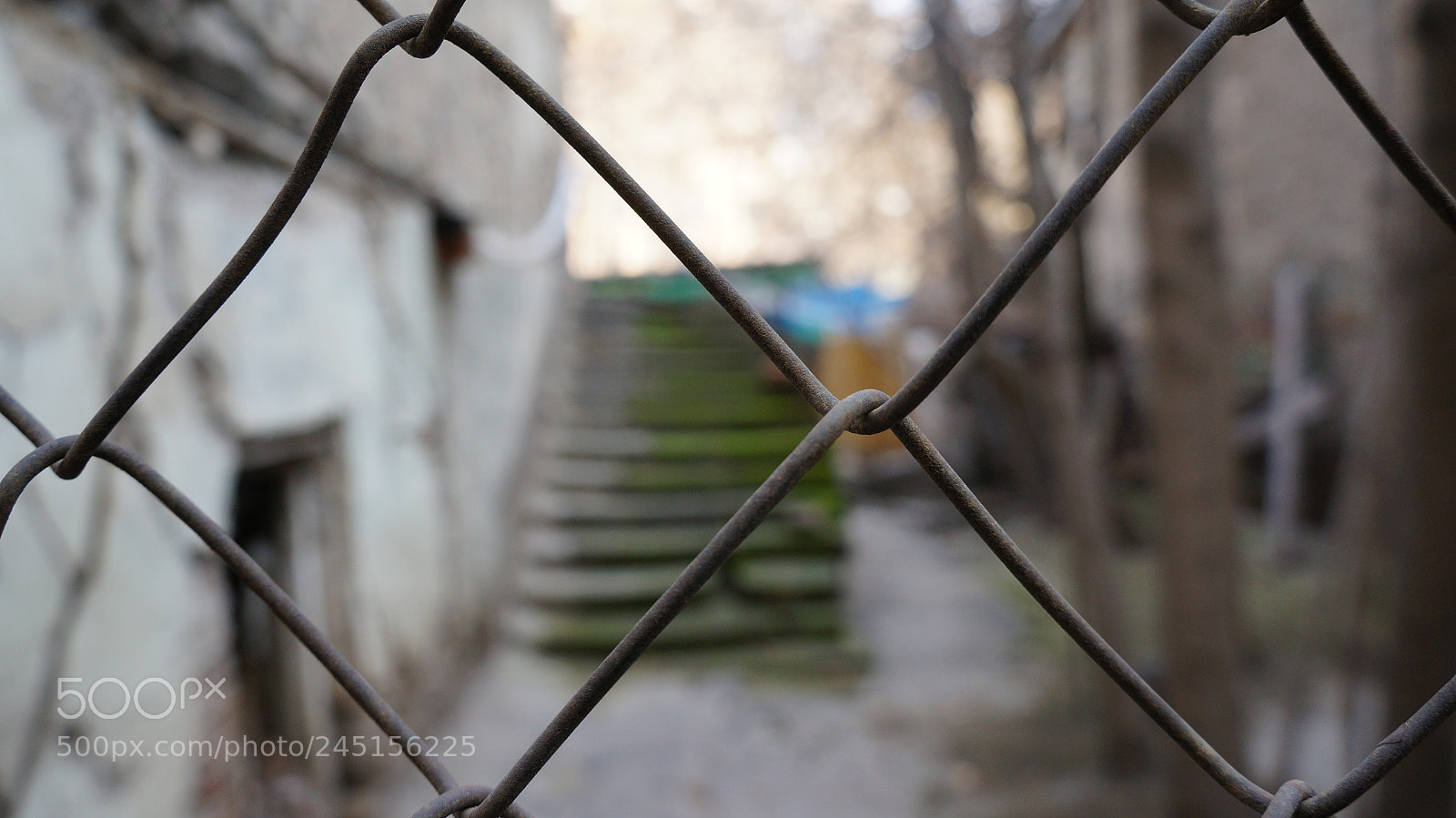 Sony Alpha NEX-5N sample photo. Untitled photography