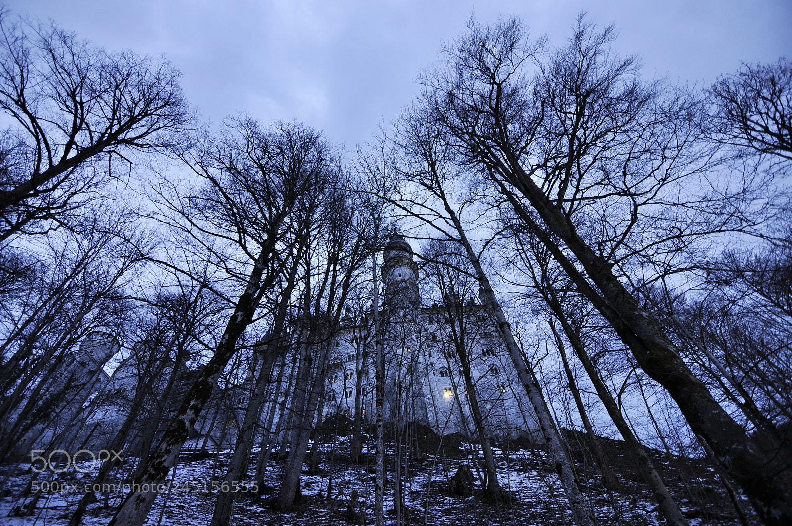 Nikon D90 sample photo. Gothic of german romanticism photography