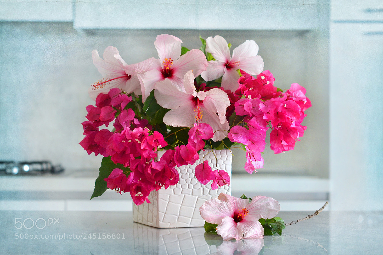Nikon D3100 sample photo. Pink flowers photography