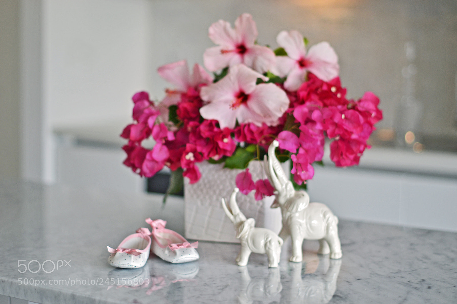 Nikon D3100 sample photo. Sweet expectation photography