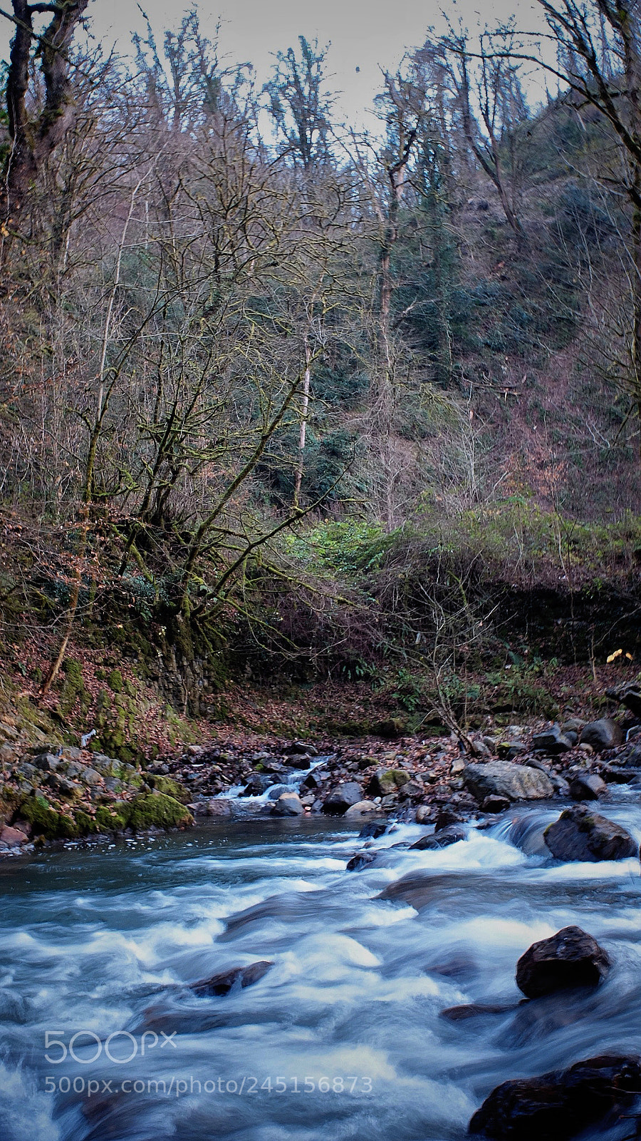 Fujifilm X30 sample photo. Untitled photography