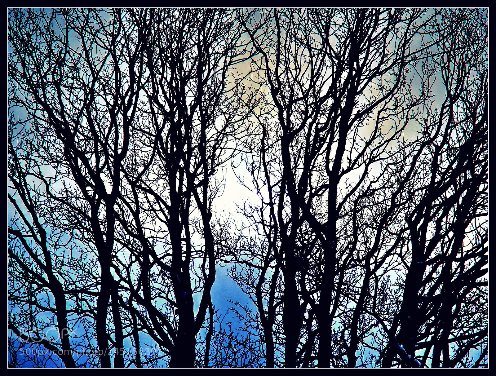 Olympus TG-5 sample photo. Im gegenlicht photography