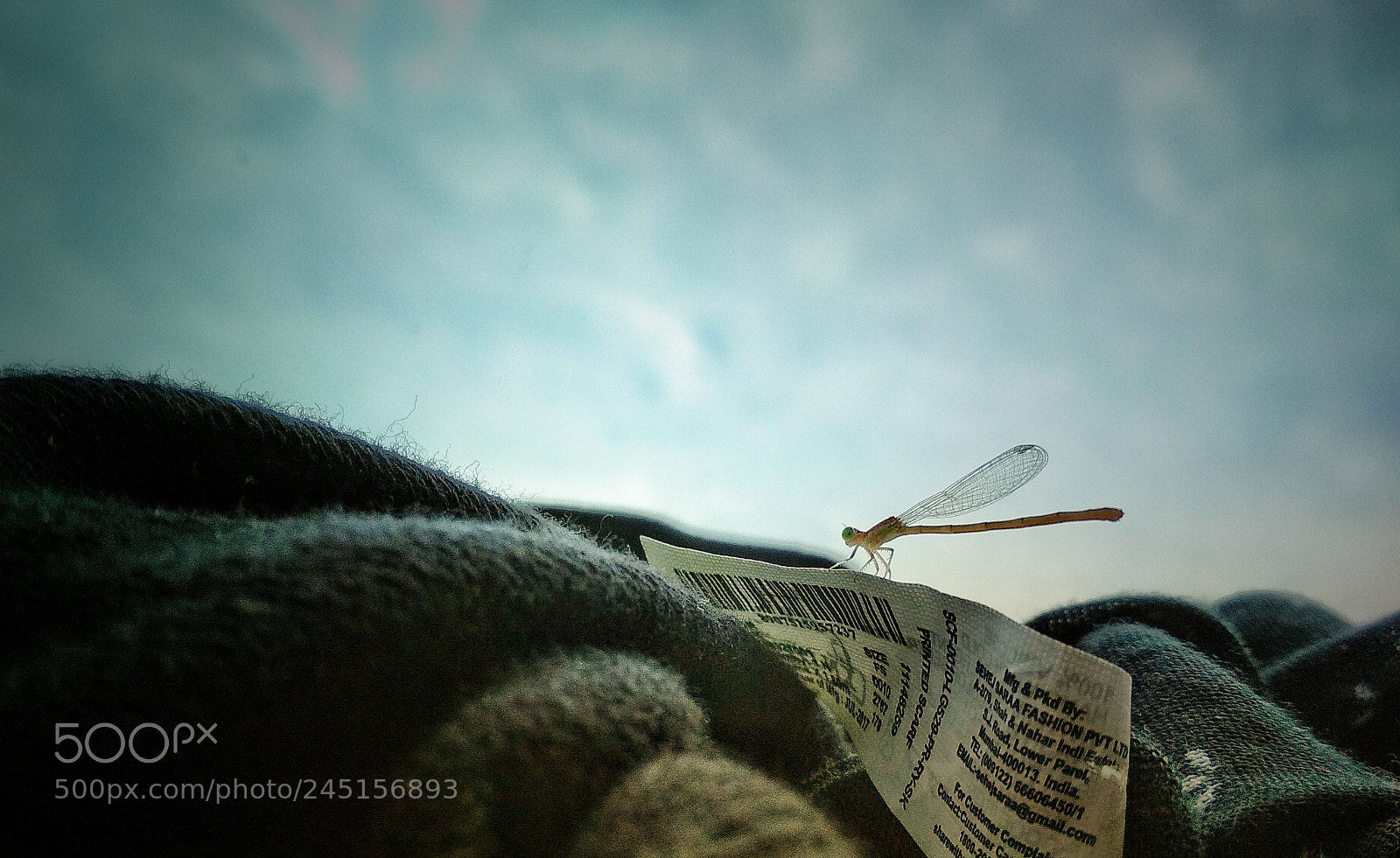 Xiaomi Redmi 4 Pro sample photo. Untitled photography