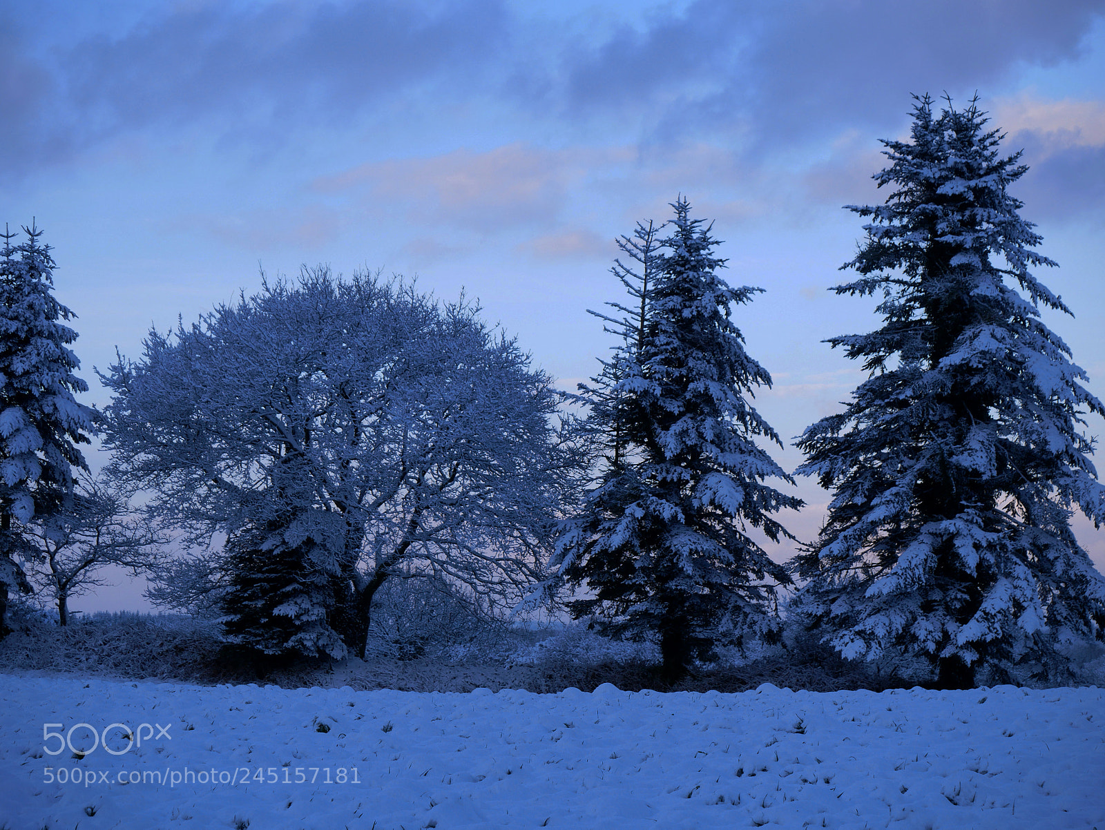 Panasonic Lumix DMC-GX85 (Lumix DMC-GX80 / Lumix DMC-GX7 Mark II) sample photo. Snow glow photography
