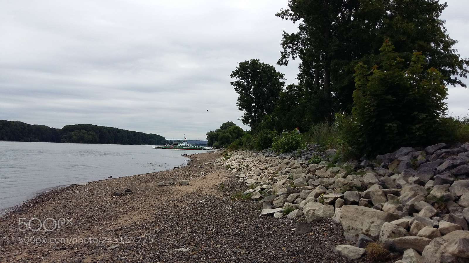 Samsung Galaxy A5 sample photo. Rhine river with trees photography