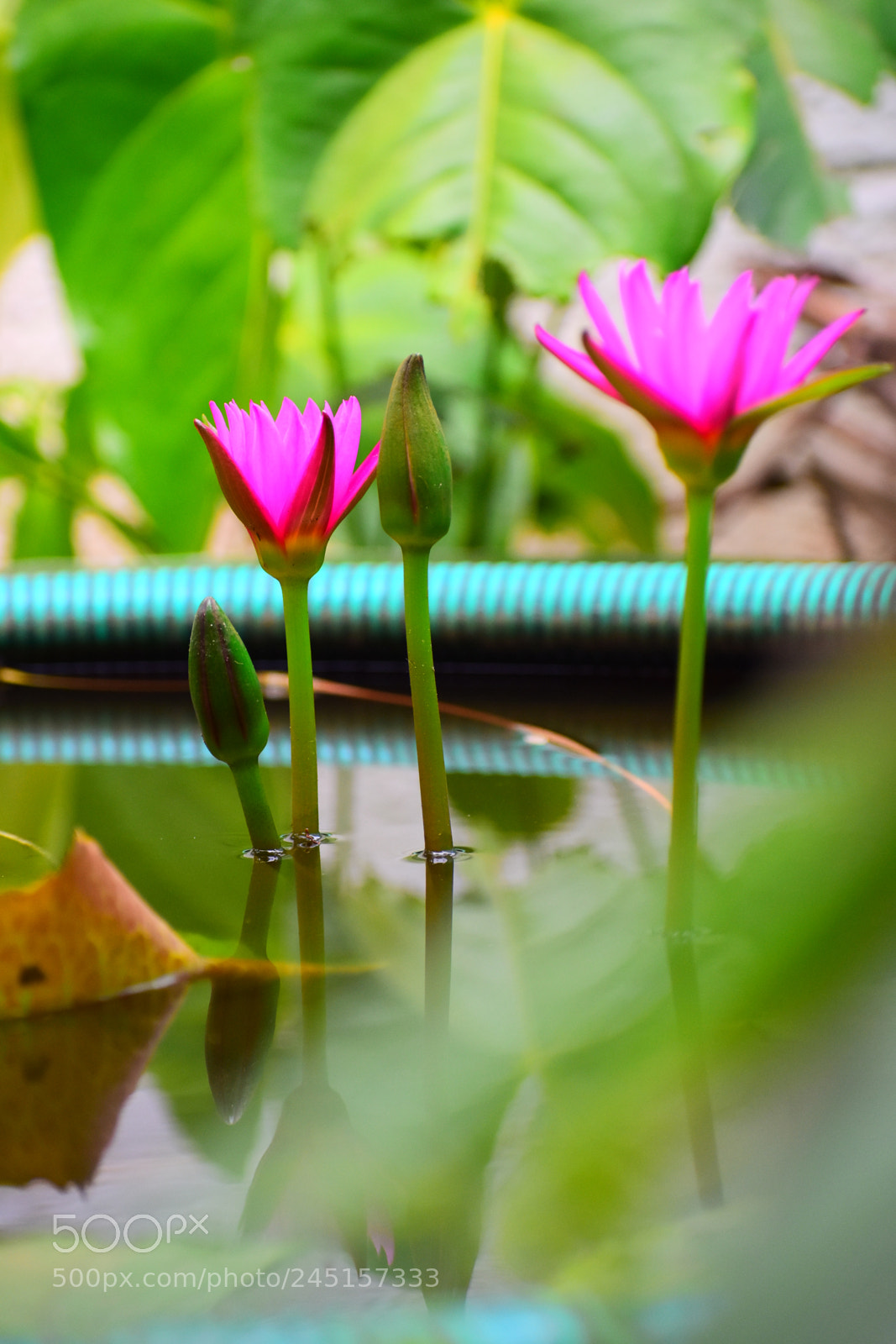 Nikon D3400 sample photo. Untitled photography