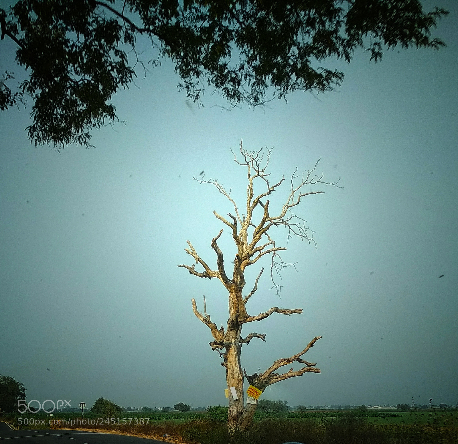 Xiaomi Redmi 4 Pro sample photo. Untitled photography