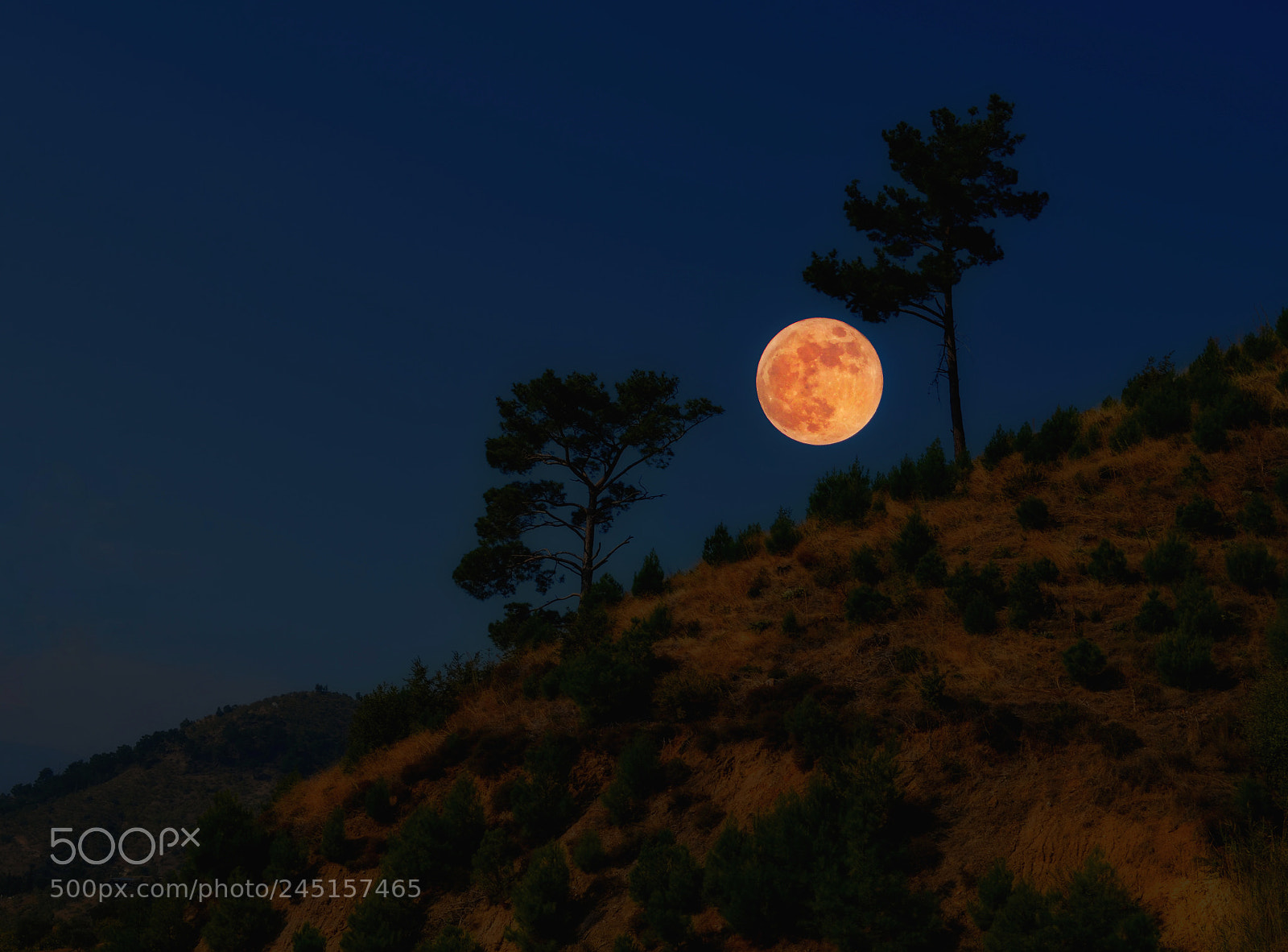 Nikon D5100 sample photo. Moon photography