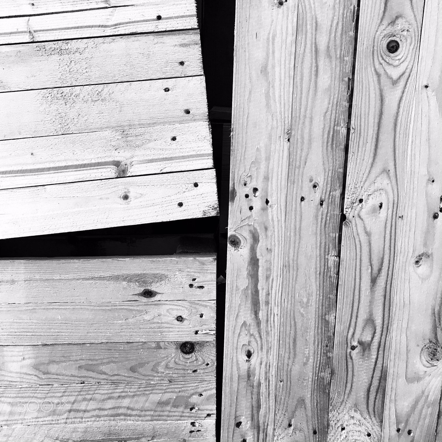 Apple iPhone 7 sample photo. Trngl photography