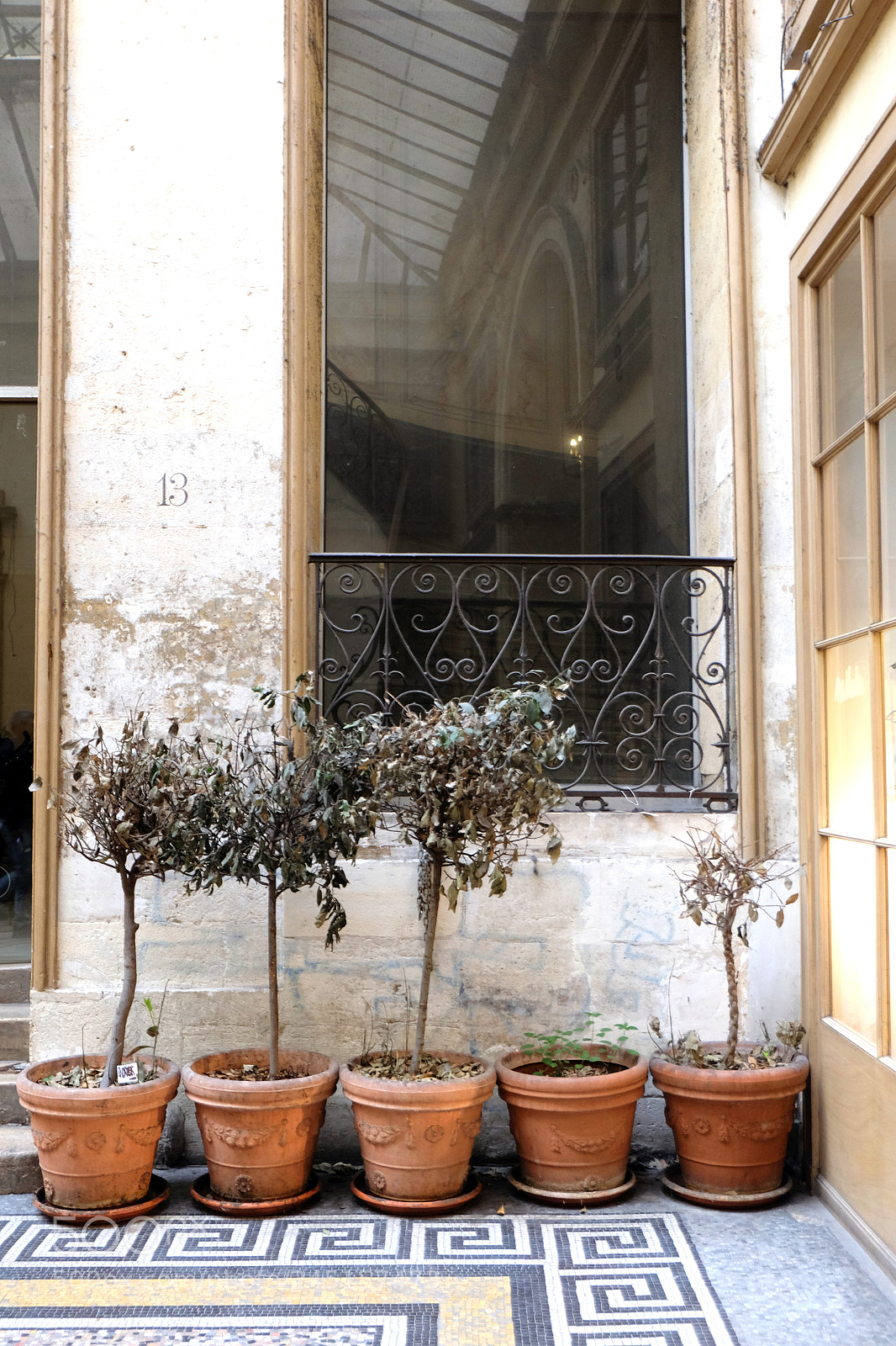 Fujifilm X-M1 sample photo. Galerie vivienne, paris photography