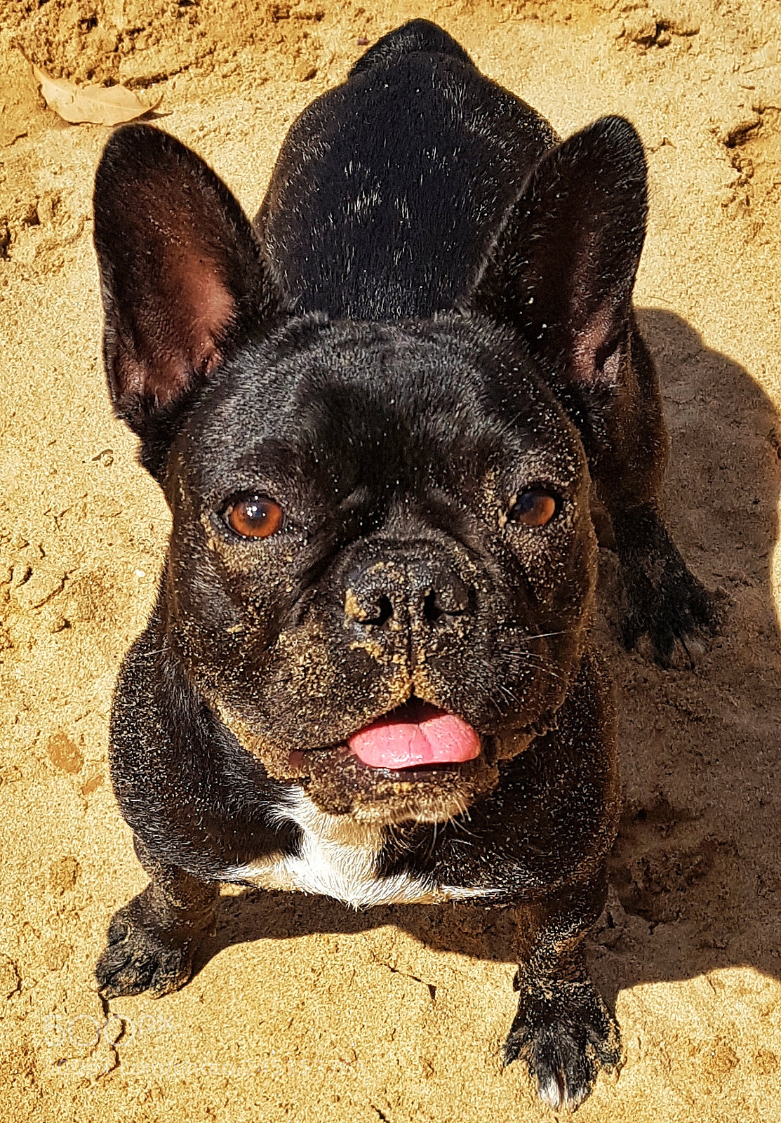 Samsung Galaxy S7 Edge sample photo. Roxy photography