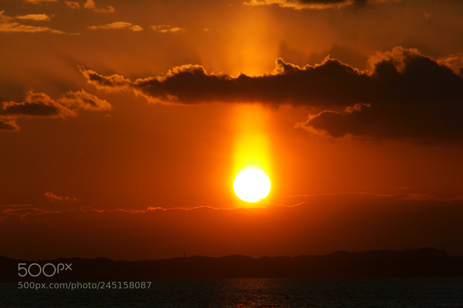Sony Alpha NEX-5 sample photo. 燃えるように photography